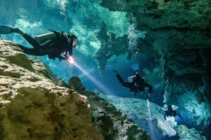 Dive in a Cenote
