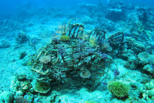 fish-shaped artificial reef
