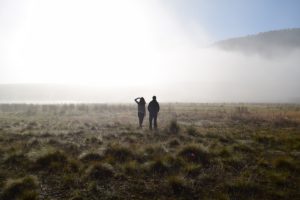 bosque de niebla en oaxaca mexico