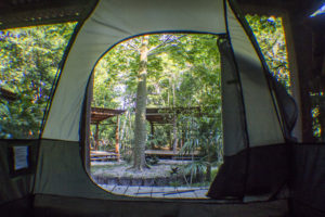 camping-en-la-naturaleza-la-raiz-del-futuro-mexico-Rutopia