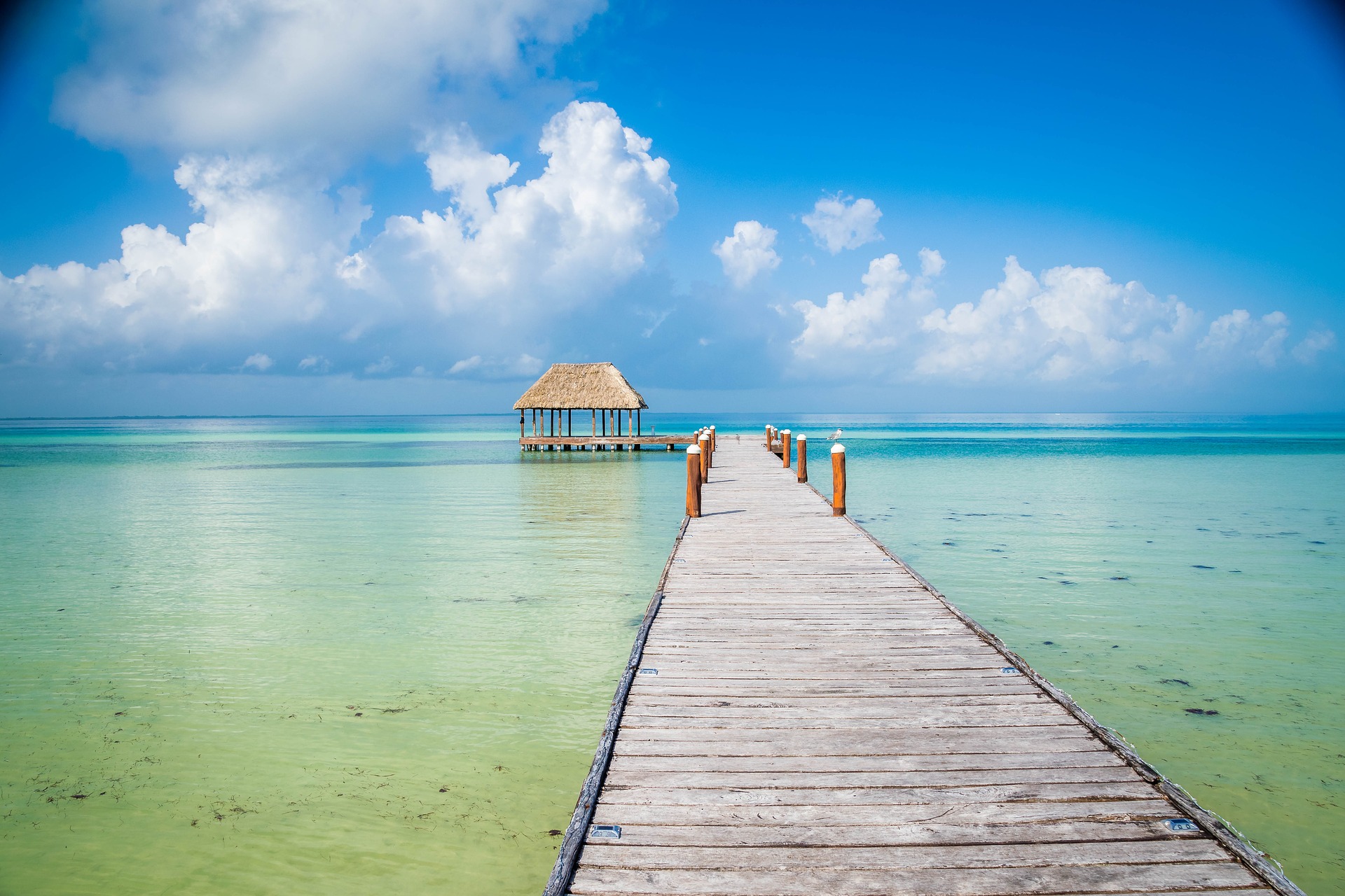 Beaches to visit without sargassum in Mexico