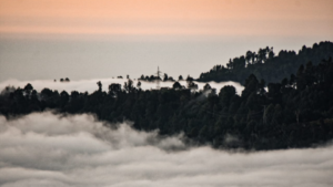 san-jose-del-pacifico-walk-in-the-clouds