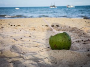 coconut-mexico-beach