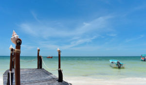 yucatan ecotourism in holbox island