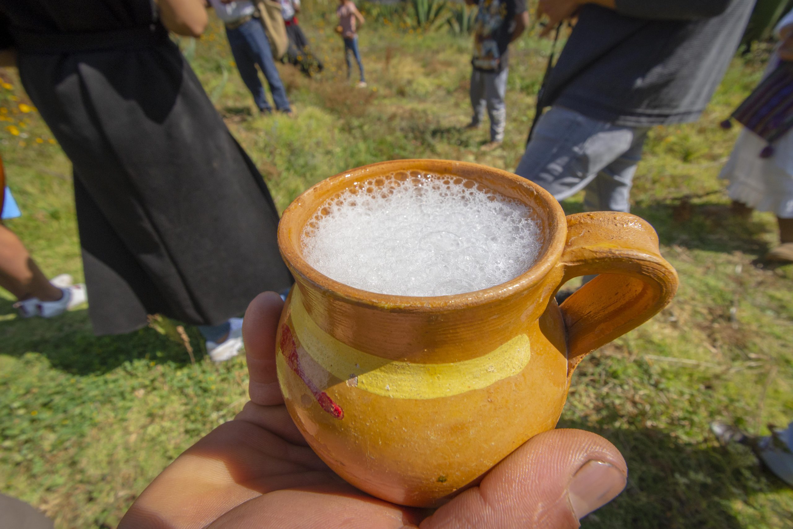 pulque beverage of the aztec gods recien salido del tinacate