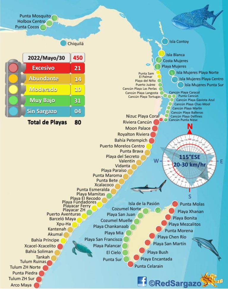 Beaches to visit without sargassum in Mexico