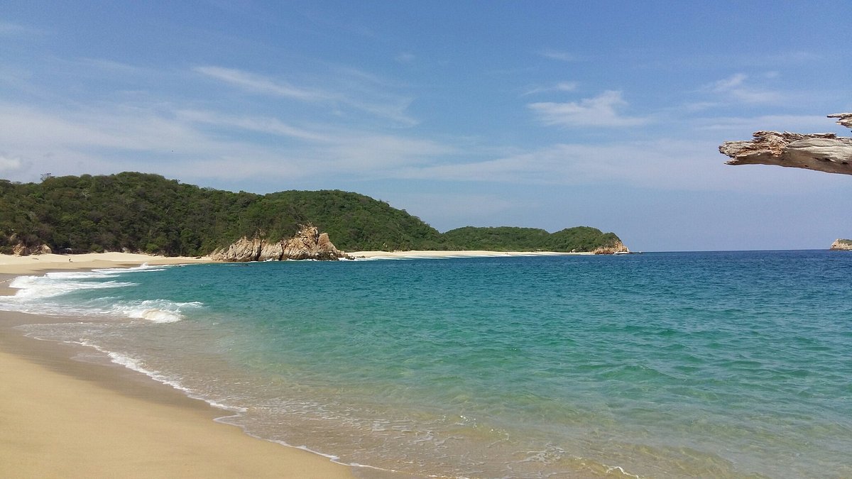 Beaches to visit without sargassum in Mexico