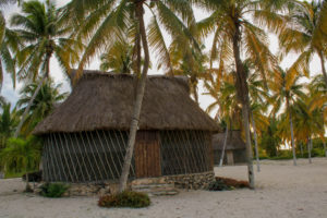 cabañas junto al mar en san crisanto Eco-Tour Sabor a Miel y Coco en Yucatán