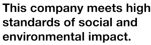 Social and Enviromental Impact logo