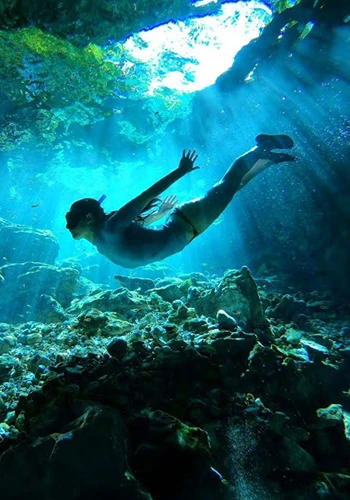 Cenote Swimming Mexico Tour Adventure