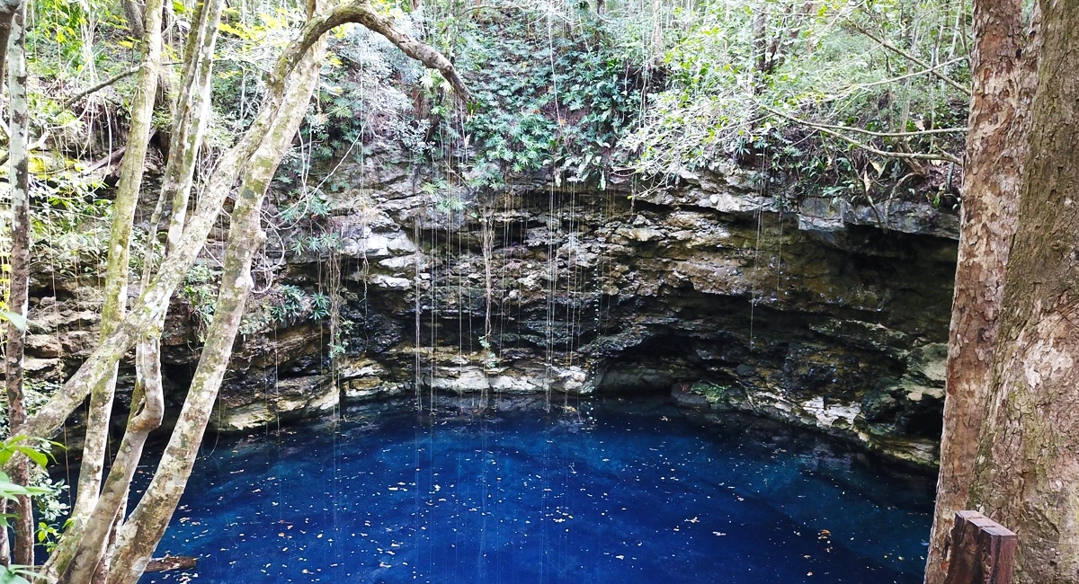 Cenote-Hamtun-Dzula