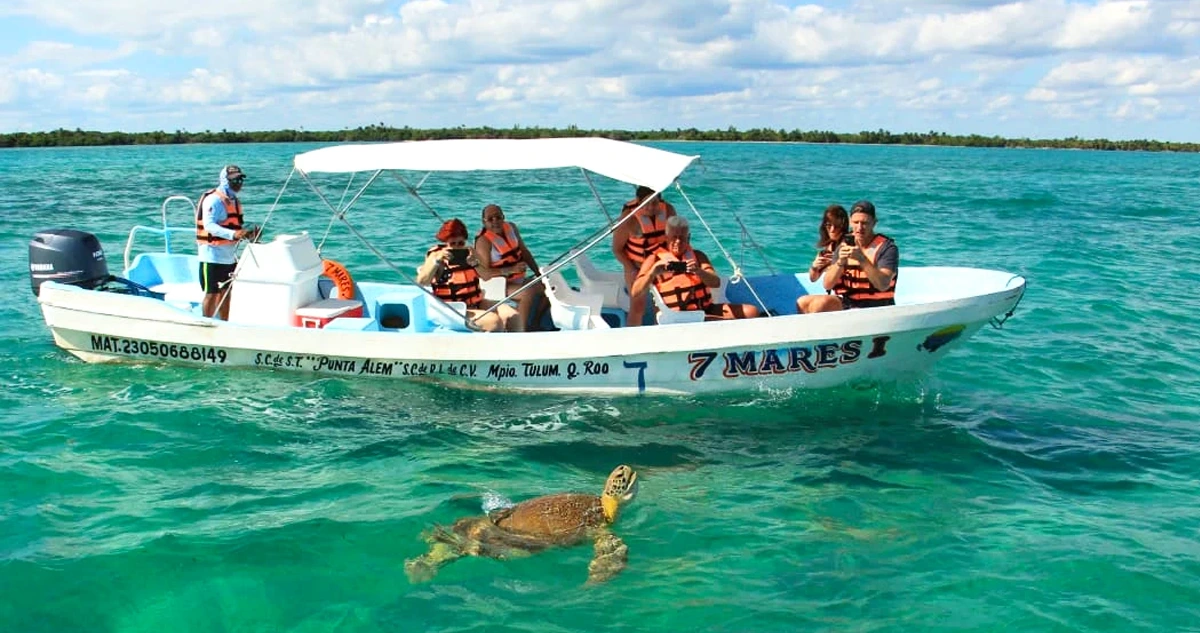 Turtle watching in mexico