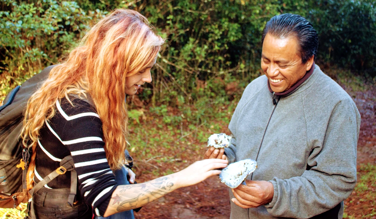 hidalgo Edible Mushroom Harvesting - rutopia