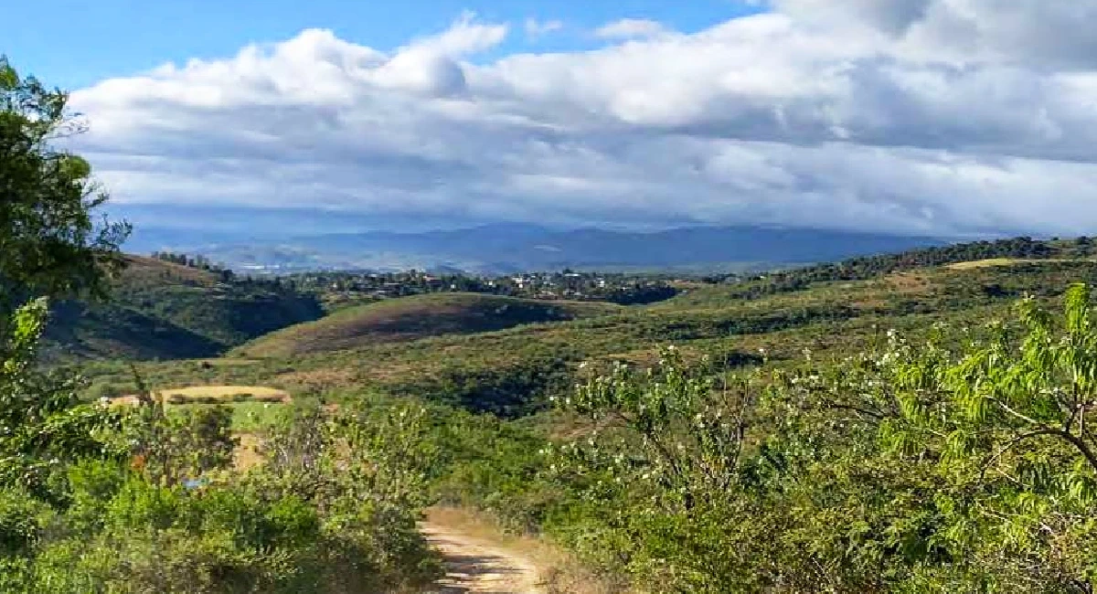 rutopia Hiking-puma-trail