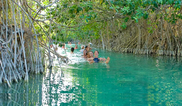 Floating in the Sian canal in Mexico